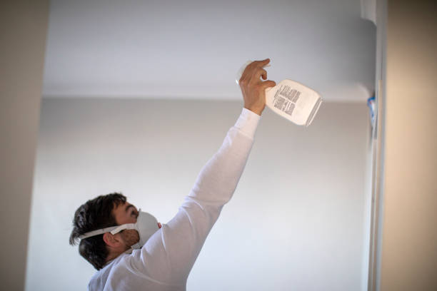 Best Toxic Mold Removal  in Grenada, MS