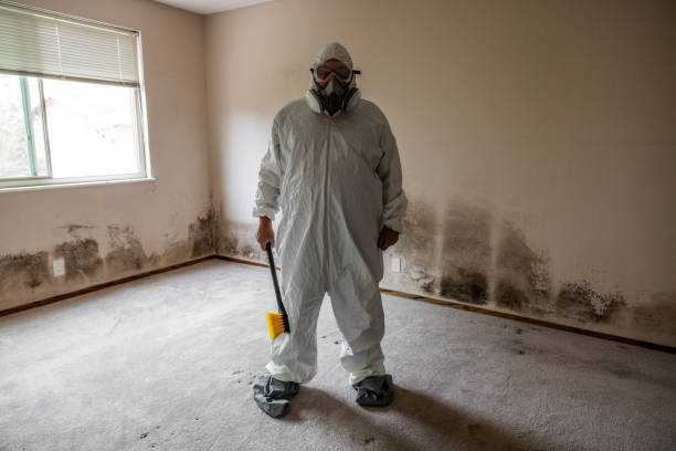 Best Mold Remediation Services  in Grenada, MS